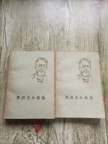 契诃夫小说选（上下全两册）