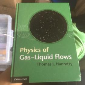 Physics of Gas-Liquid Flows