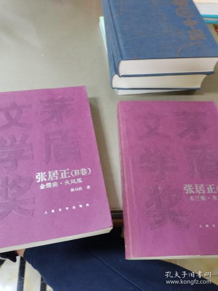 长恨歌：茅盾文学奖获奖作品全集