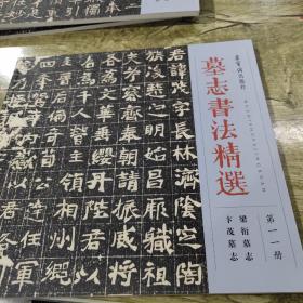 墓志书法精选:第十一册()