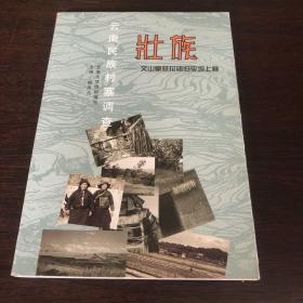 云南民族村寨调查：壮族