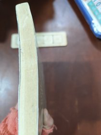 蜜蜂公主