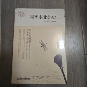 中国大历史：两晋南北朝史（套装上下册）