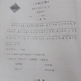 各地期末试卷精选：语文（一年级上 R 2018）