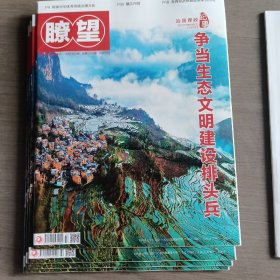 瞭望2024，32