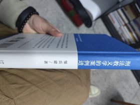 刑法教义学的案例进路 邹兵建