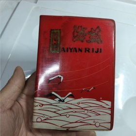 海燕，油画插图，老日记本