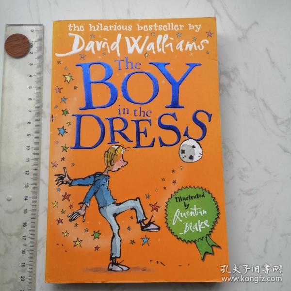 The Boy in the Dress