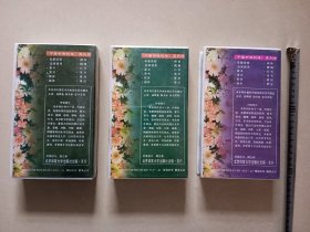 老录像带 中国书法技法行书 草书 章法 一起价格盒20.5×12 收藏道具摆件