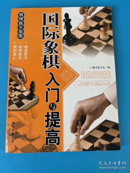 棋牌娱乐指南：国际象棋入门与提高