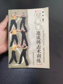 咏春拳速成搏击术训练