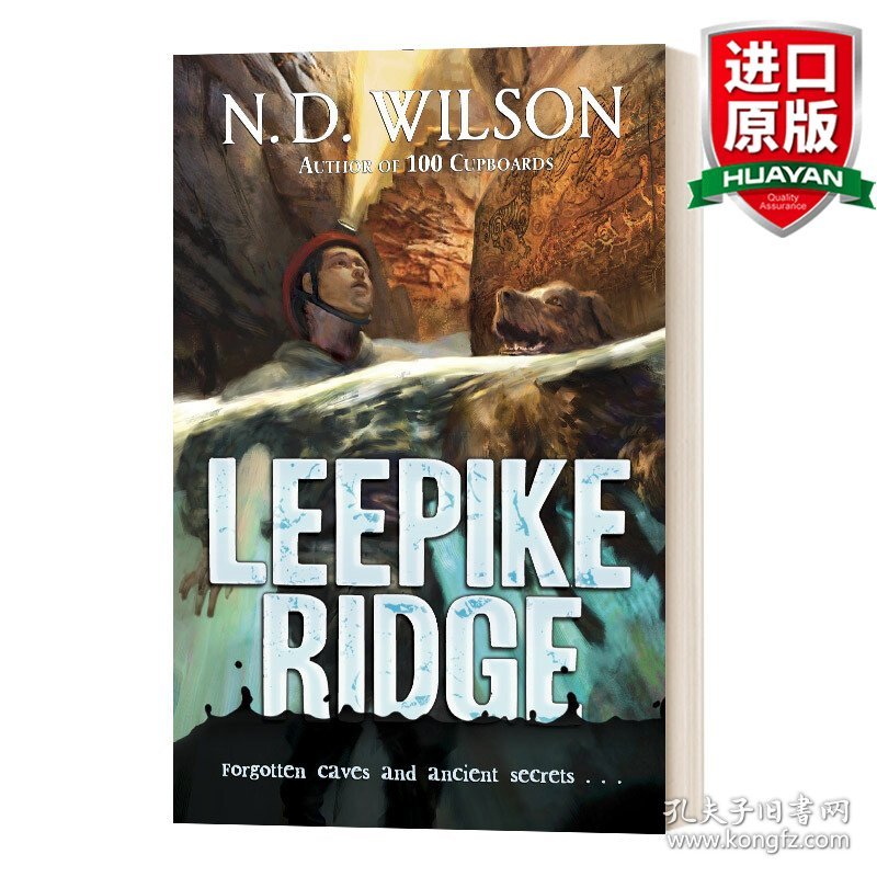 英文原版 Leepike Ridge 里皮克岭 9-12岁儿童侦探冒险小说 纽约公共图书馆推荐书目 N. D. Wilson 英文版 进口英语原版书籍