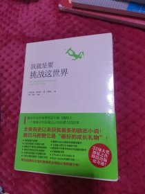 我就是要挑战这世界：献给所有怀抱梦想却不敢飞翔的人