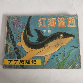 红海鲨鱼（下）中国少年儿童出版社出版 连环画 阁3