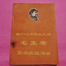 我们心中的红太阳毛主席革命实践活动