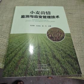 小麦苗情监测与应变管理技术