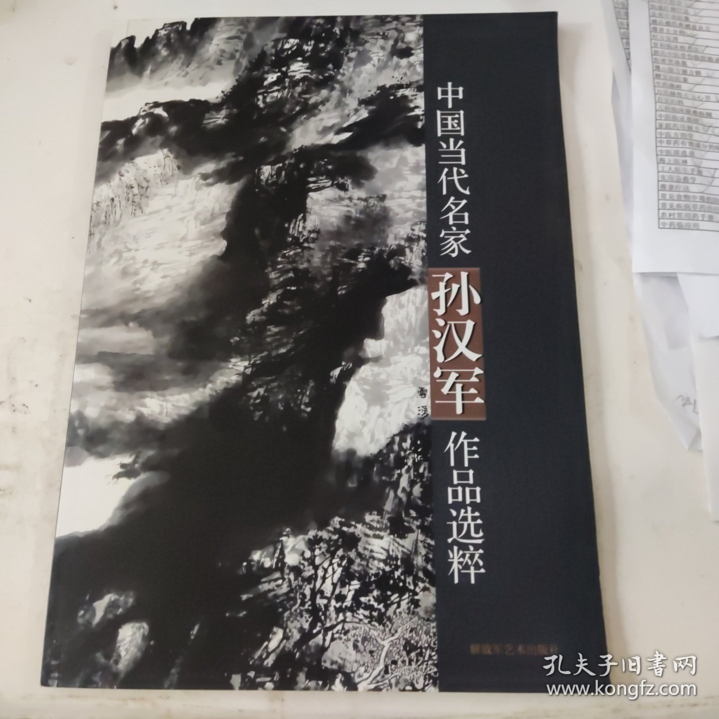 当代中国名家孙汉军作品选粹