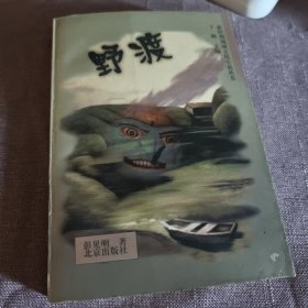 实物拍照：野渡