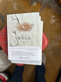 惊奇之心