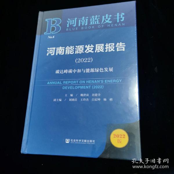 河南蓝皮书：河南能源发展报告（2022）