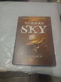 当李晓峰成为SKY