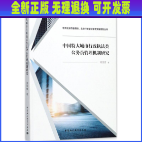 中国特大城市行政执法类公务员管理机制研究