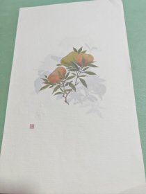 画册