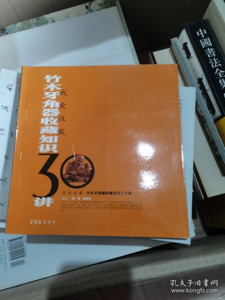 我爱收藏：竹木牙角器收藏知识30讲