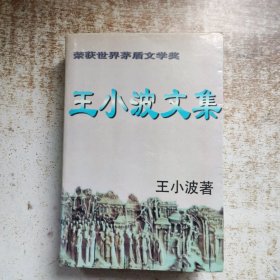 王小波文集