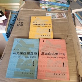 历史在这里沉思 全三卷