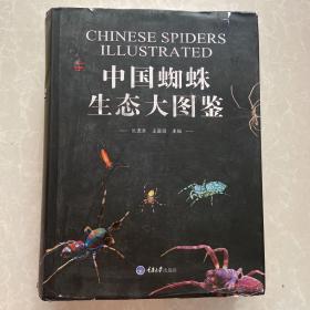 中国蜘蛛生态大图鉴