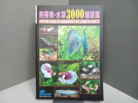 热带鱼观赏鱼3000种