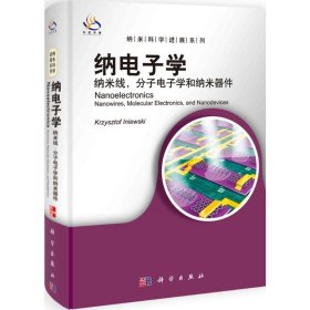 纳米科学进展系列·纳电子学：纳米线 分子电子学及纳米器件