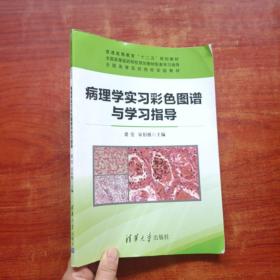 病理学实习彩色图谱与学习指导/普通高等教育“十二五”规划教材