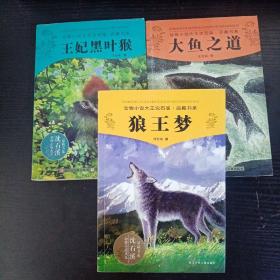 动物小说大王沈石溪· 品藏书（狼王梦、王妃黑叶猴、大鱼之道）三本合售