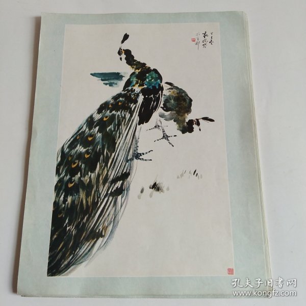 七八十年代16开老画一张印刷品，袁晓苓（孔雀）