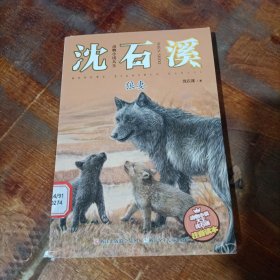 动物小说大王沈石溪：狼妻（注音读本）.