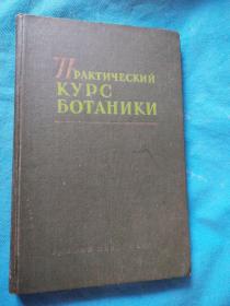 俄文原版书，植物书籍
