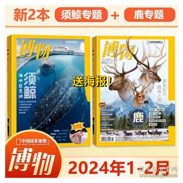 【赠海报】博物2024年1+2月刊 须鲸 鹿 中国国家地理出品青少年版 