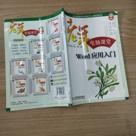 老年电脑课堂：Word应用入门