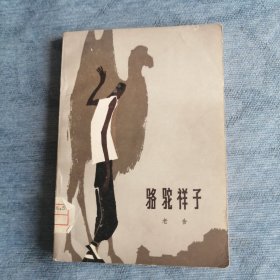 骆驼祥子 人民文学出版社1962版1981印