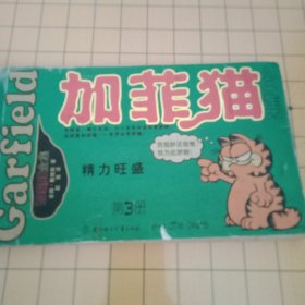加菲猫（3）