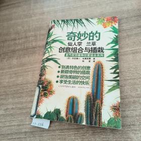 奇妙的仙人掌 兰草创意组合与插栽$