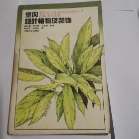 室内观叶植物及装饰