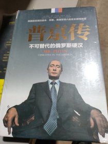 普京传：不可替代的俄罗斯硬汉
