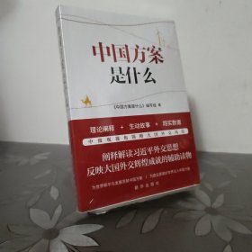 中国方案是什么