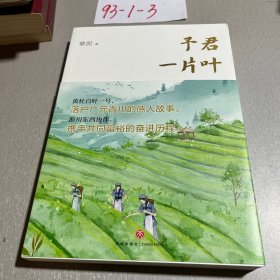 予君一片叶（一片叶子再富一方百姓  浙江四川携手共同富裕）