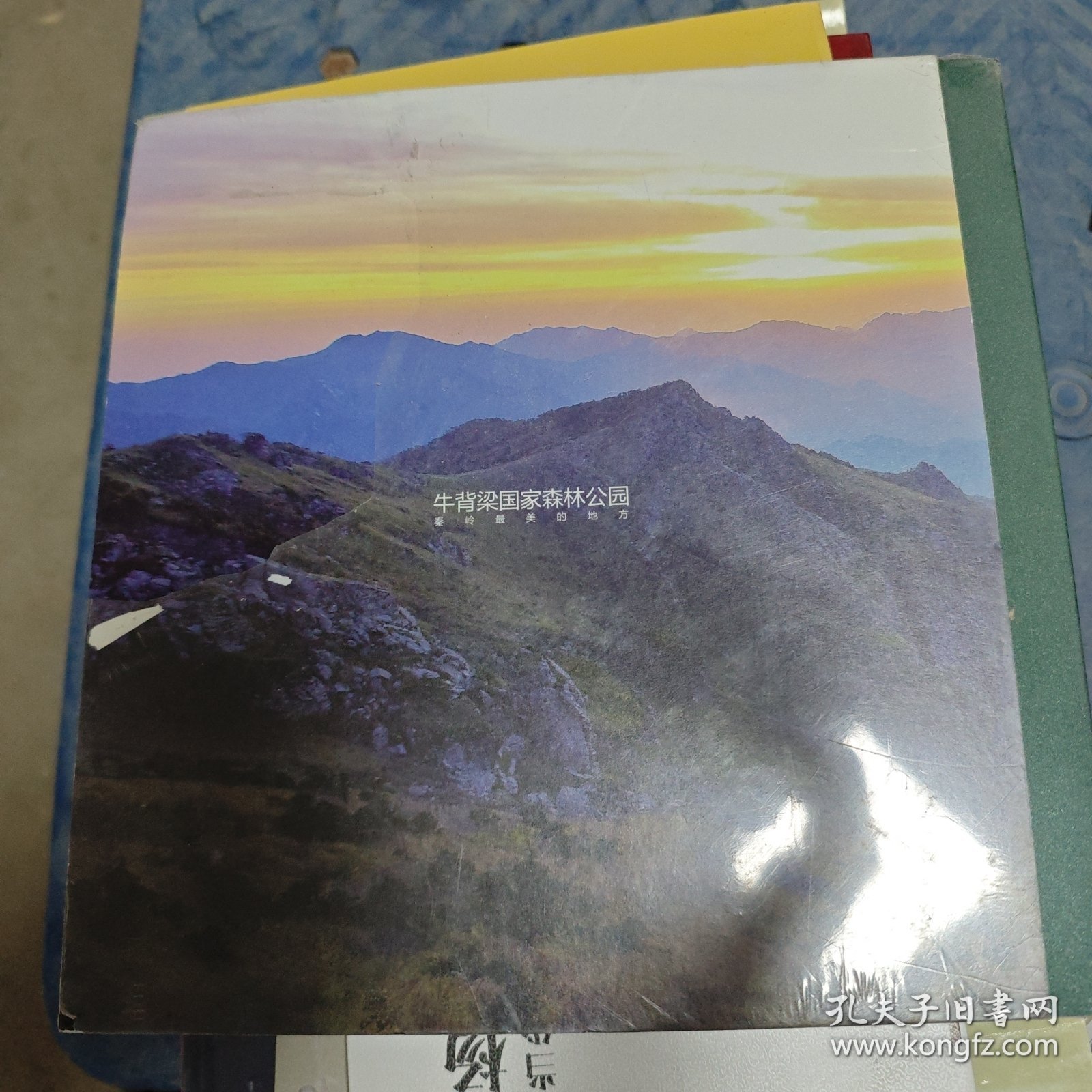 牛背梁国家森林公园