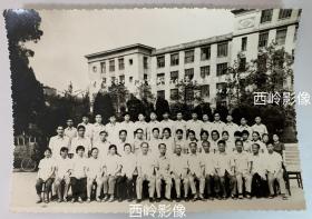 【老照片】四川大学化学系1980级分析化学专业毕业留念（1984.07）— 应该有名师。