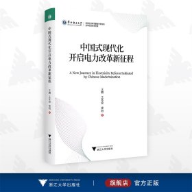 中国式现代化开启电力改革新征程